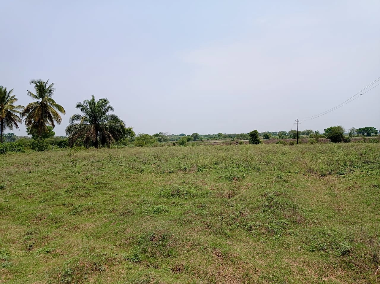 7.37 acres of Agricultural Land Off HD Kote Road